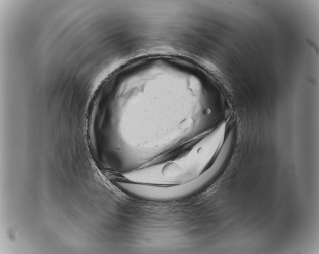 X0000099541326200806131141