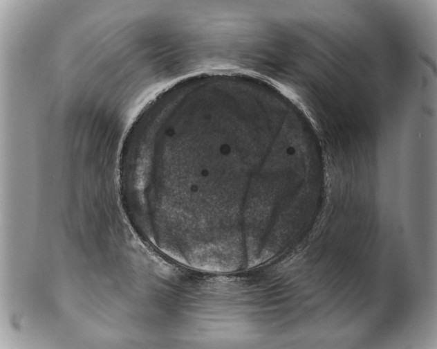 X0000099541327200806131141