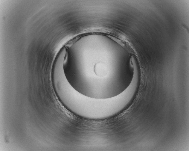 X0000099541328200806131141