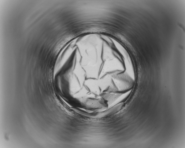 X0000099541329200806131141