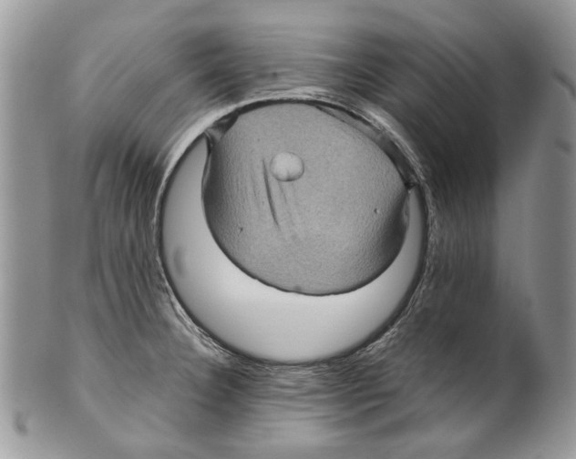 X0000099541332200806131141