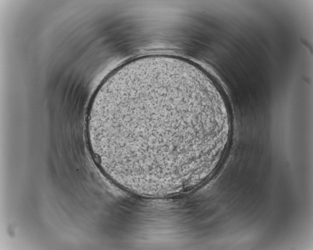 X0000099541333200806131141