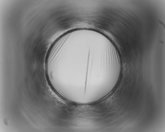 X0000099541335200806131141