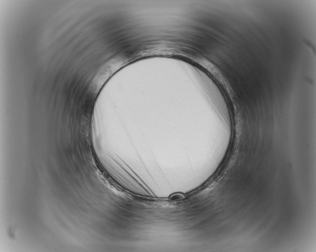 X0000099541337200806131141