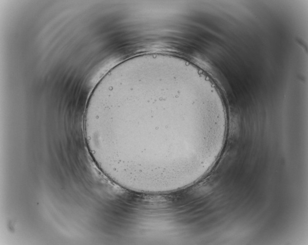 X0000099541338200806131141