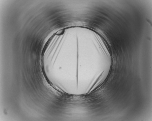 X0000099541339200806131141