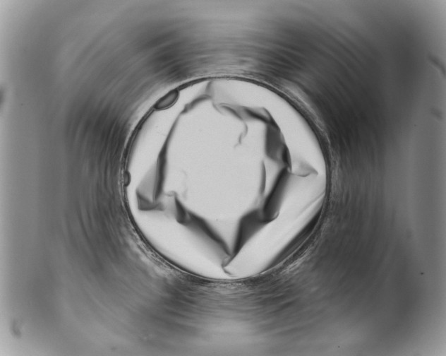 X0000099541340200806131141