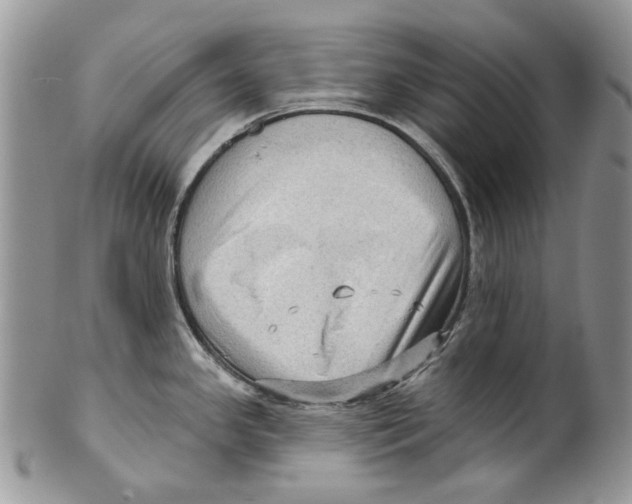 X0000099541341200806131141