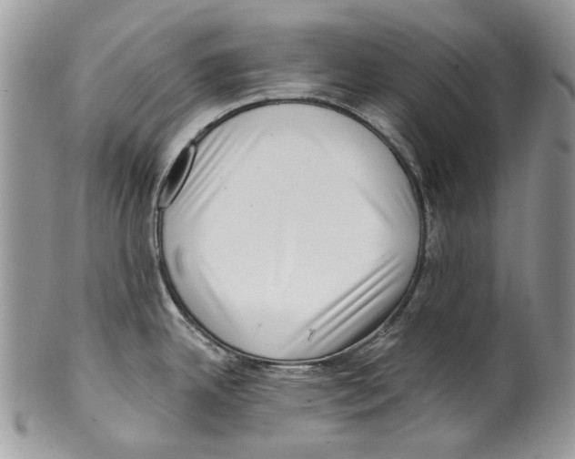 X0000099541342200806131141