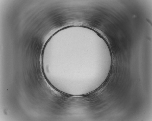 X0000099541343200806131141