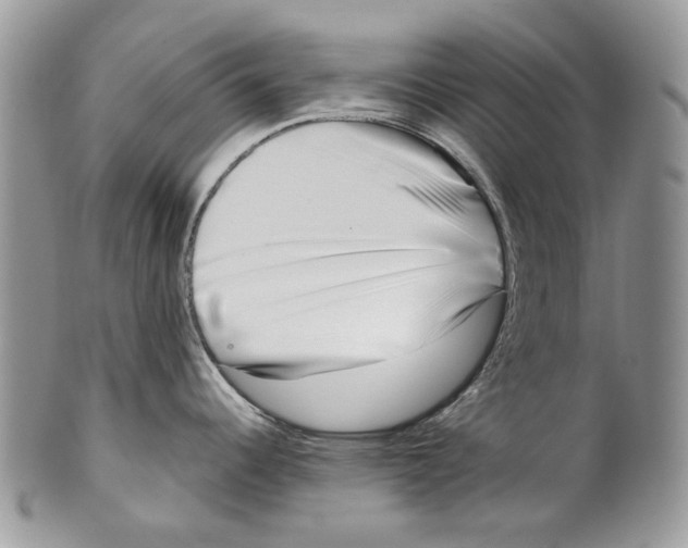 X0000099541344200806131141