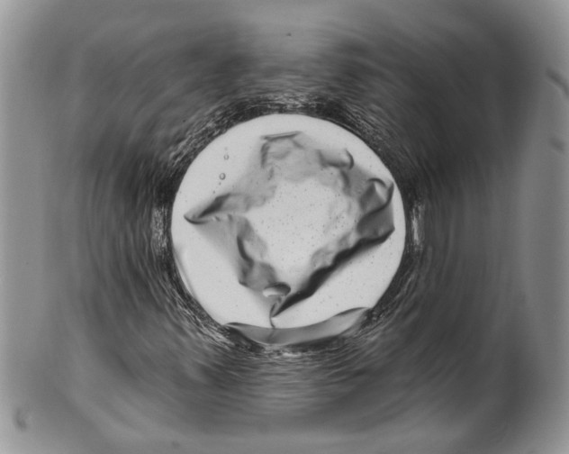 X0000099541347200806131140