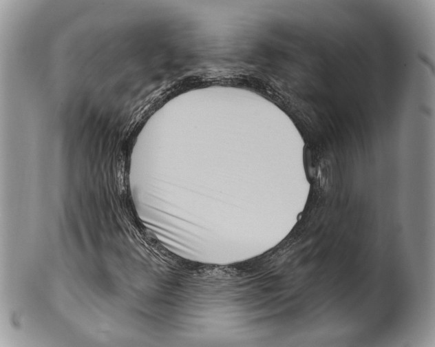 X0000099541348200806131140