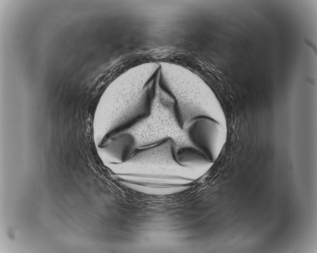 X0000099541349200806131140