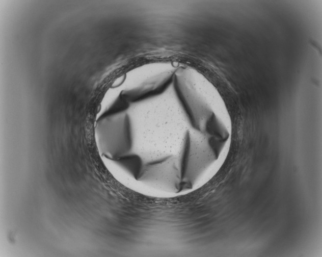 X0000099541350200806131140