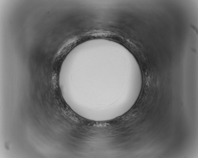 X0000099541351200806131140