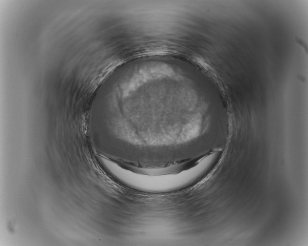 X0000099541353200806131140