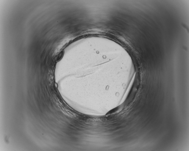 X0000099541355200806131140