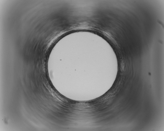 X0000099541356200806131140