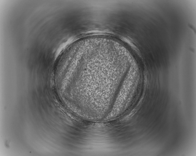 X0000099541357200806131140