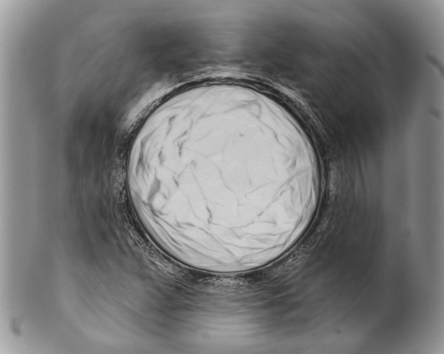 X0000099541359200806131140