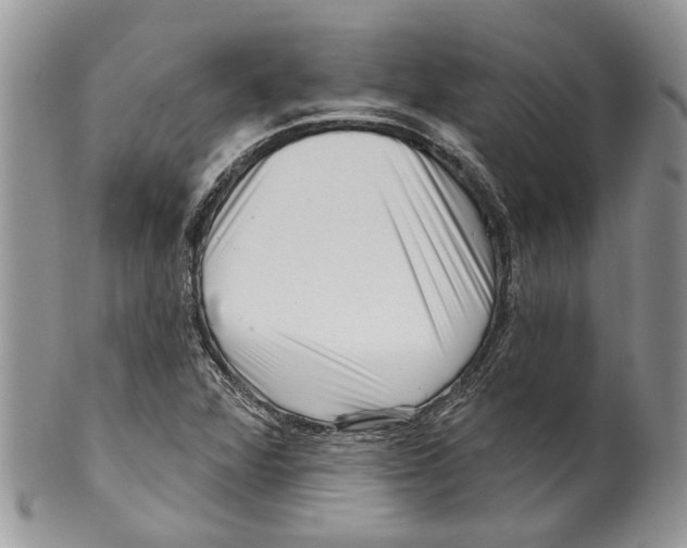 X0000099541360200806131140