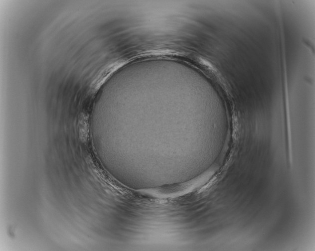 X0000099541361200806131140