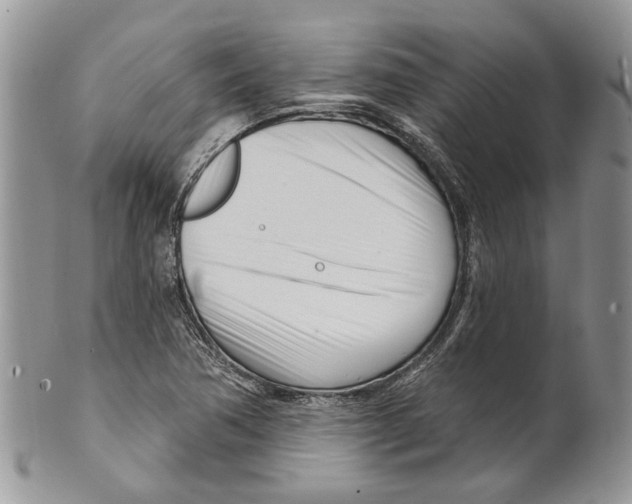 X0000099541362200806131140