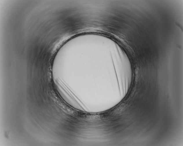 X0000099541363200806131140