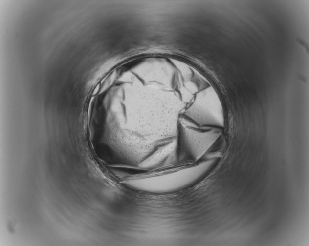 X0000099541367200806131140