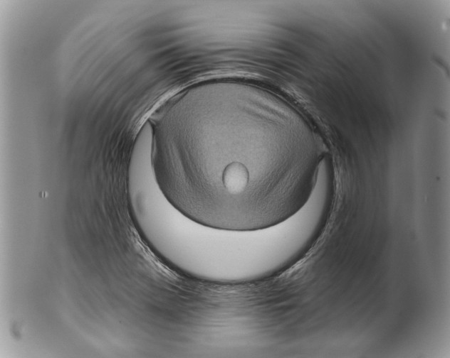 X0000099541369200806131140