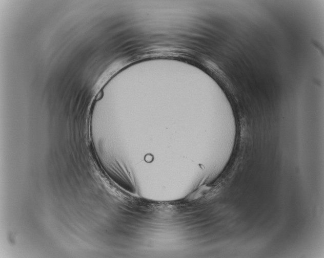 X0000099541370200806131140