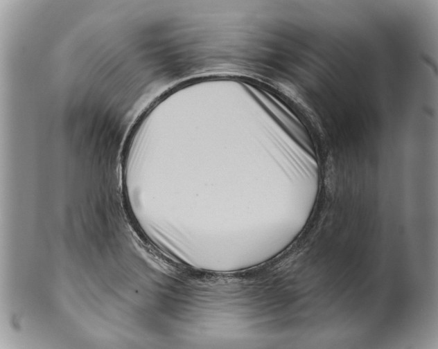 X0000099541372200806131140