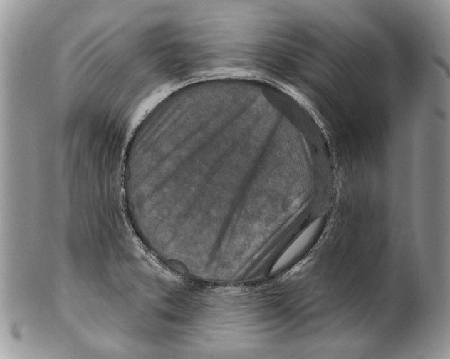 X0000099541373200806131140