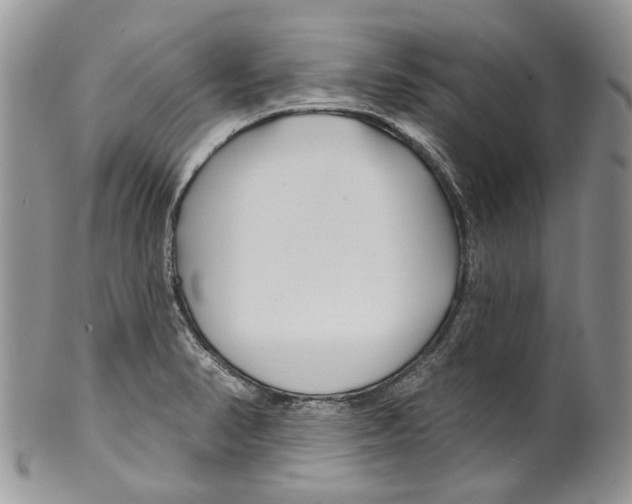 X0000099541374200806131140