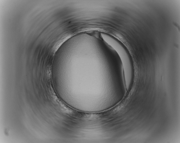 X0000099541377200806131140