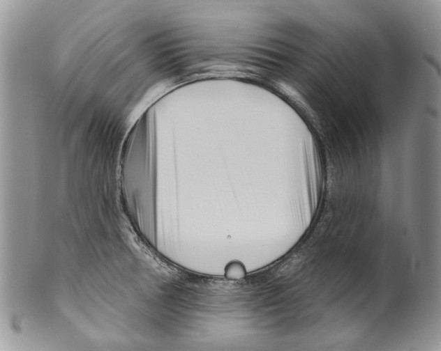 X0000099541378200806131140