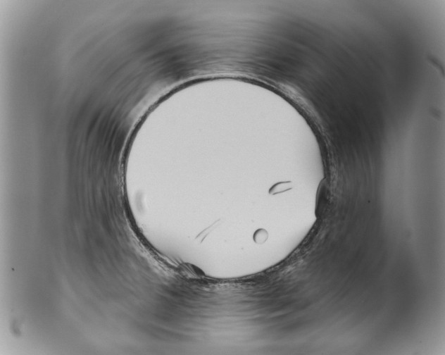 X0000099541380200806131140