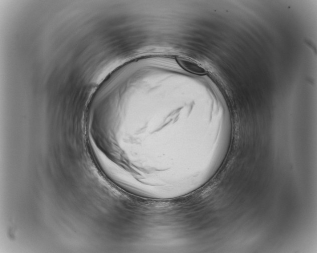 X0000099541382200806131140