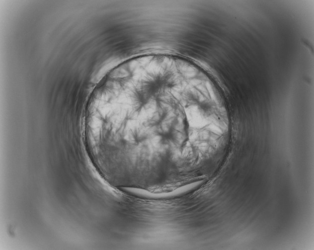X0000099541383200806131140