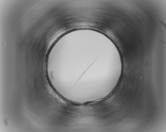 X0000099541384200806131140