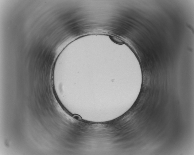 X0000099541387200806131140