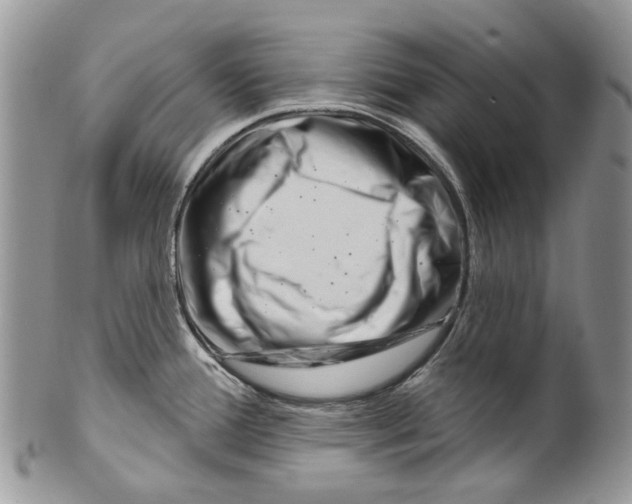 X0000099541388200806131140