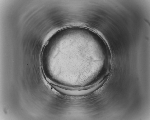 X0000099541389200806131139