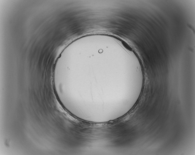 X0000099541390200806131139