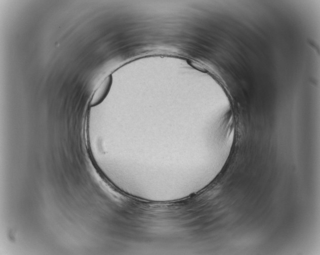 X0000099541391200806131139