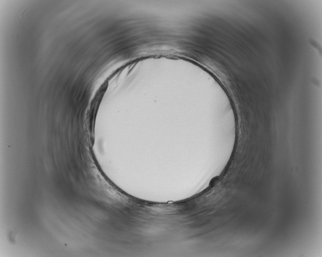 X0000099541392200806131139