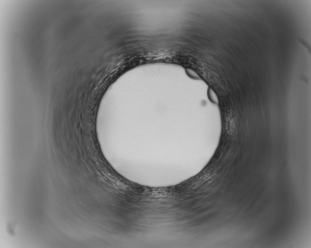 X0000099541393200806131139