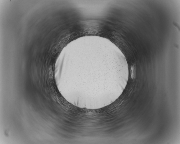 X0000099541395200806131139