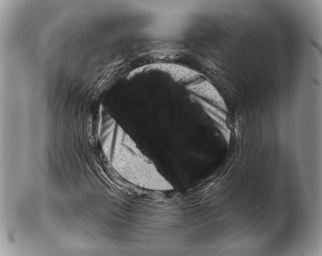 X0000099541396200806131139